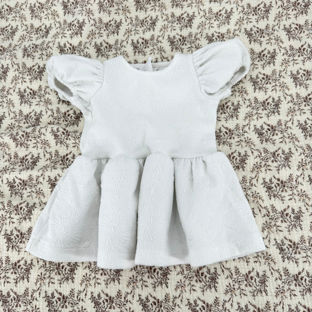 Zara Floral Jacquard Dress Kids 3-6 Months White Good Puff Sleeve Back Button